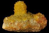 Sunshine Cactus Quartz Crystal - South Africa #98379-1